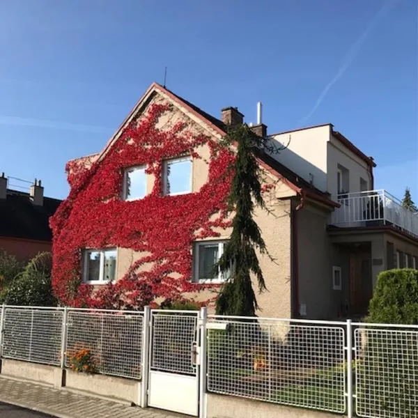apartman pro 4 osoby, hotel in Česká Skalice