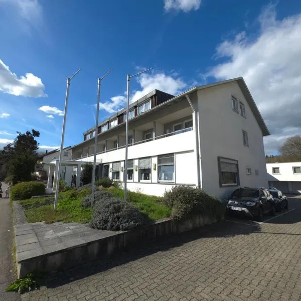 Hotel zur Flüh, hotel in Bad Säckingen