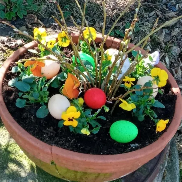 Pension Fanlor, khách sạn ở Zubčická Lhotka