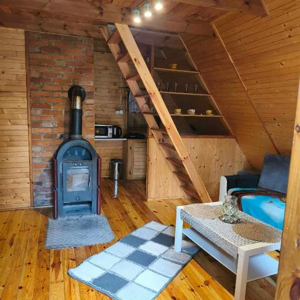 Zofiówka las, hotel sa Zofiówka