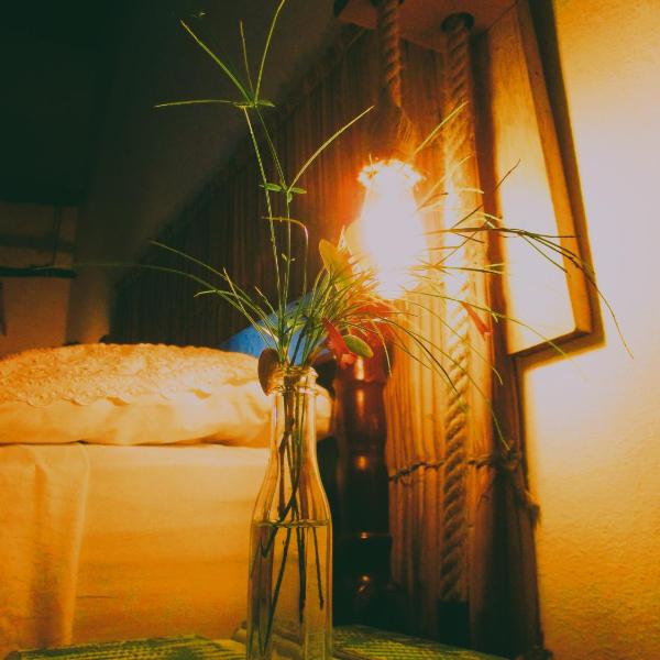 Namastê Pousada e Camping - Foto 4