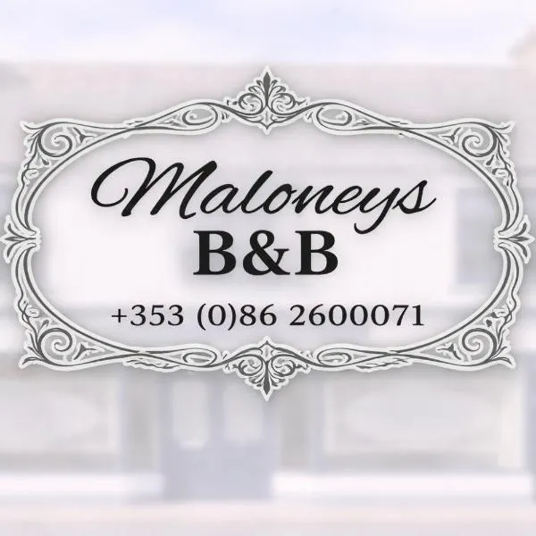 Maloney's The Square Bed & Breakfast, hotel din Charlestown