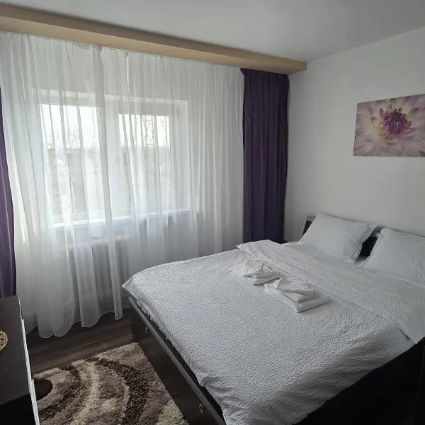 DelyMary Parc 1 Mai Apartament, отель в Крайове