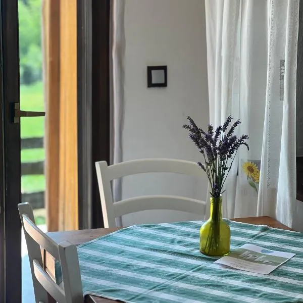 Apartments Mali Raj, מלון בDolenci