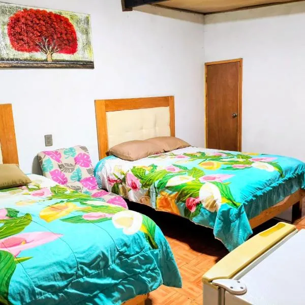 CABAÑA tipo habitación con PALAPA y Asador Planta Alta en Zacatlán, Hotel in Zacatlán