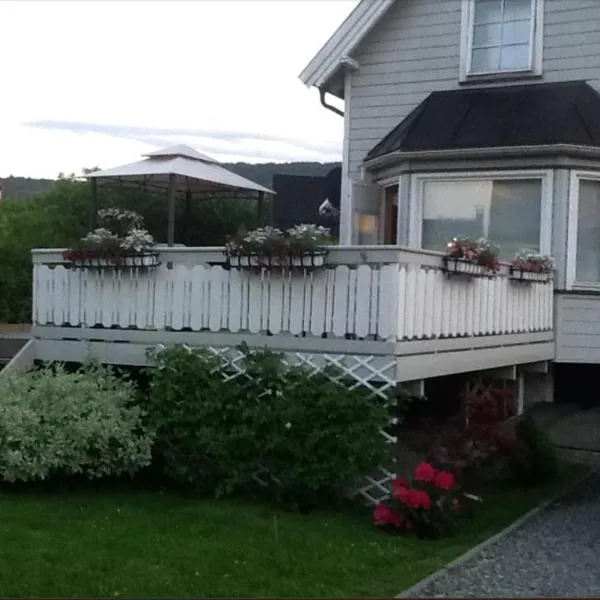 Koselig hus ved Elveparken, Drammen plus egen campingvogn på Homannsberget, hotel Drammenben