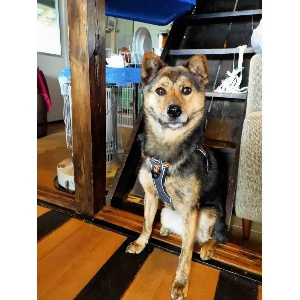 LongHillsEcoGuesthouse&Cafe - Vacation STAY 24885v, hotel v mestu Kinoshita