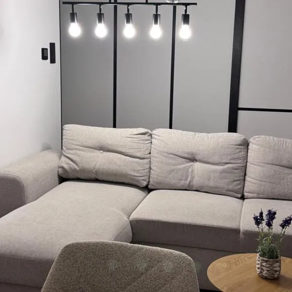 Modern Apartment in the Center of Żory, hotel u gradu 'Żory'