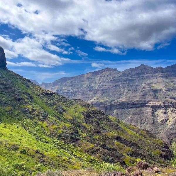 Eco Finca Mogan - Hostel und Ferienwohnung, hotel i Mogán