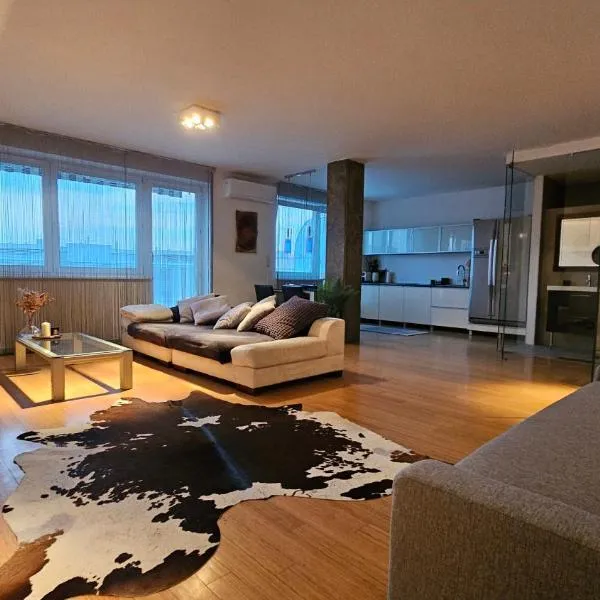 Modern Top Floor Loft, Private Terrace, Near Center & Free Parking, hotelli kohteessa Trnávka