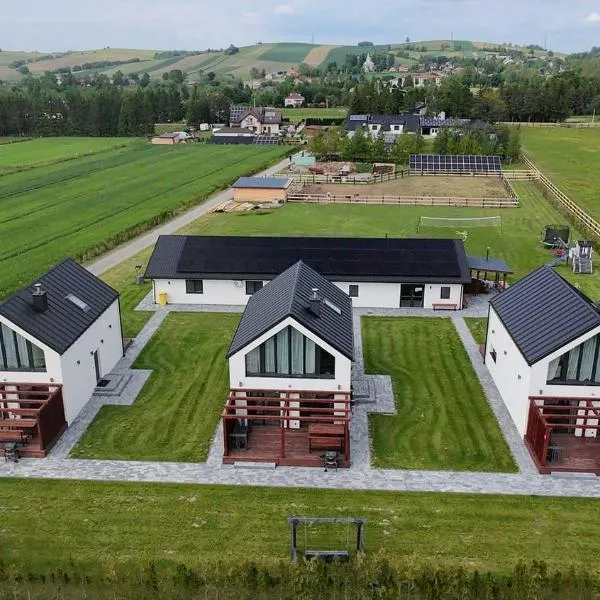 Noclegi Beskidzkie Stodoły, viešbutis mieste Odrzechowa