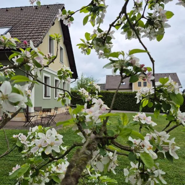 Penzion Helga, hotel din Žďár
