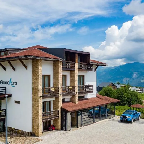 Hotel GoodAura, Hotel in Gudauri