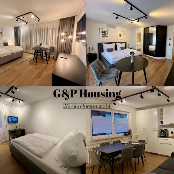 G&P Housing Apartments - Shared Apartment Deluxe Zimmer mit eigenem Badezimmer WC und großer Küche: Altensteig şehrinde bir otel