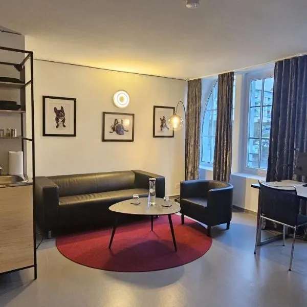 RS Boardinghouse Self Check-In Free Parking, hotel a St. Gallen