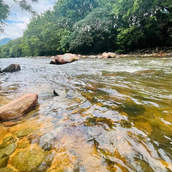 Rancho300 - Quiriri - Joinville - Foto 4