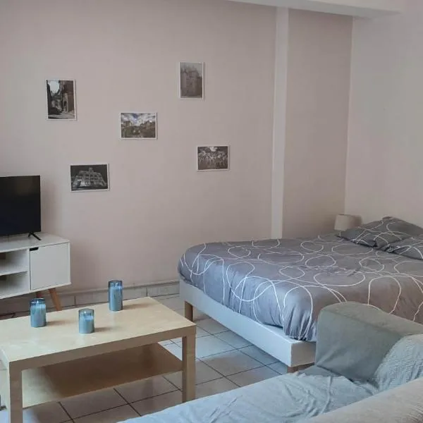 Studio cosy coeur centre ville, отель в городе Обюссон