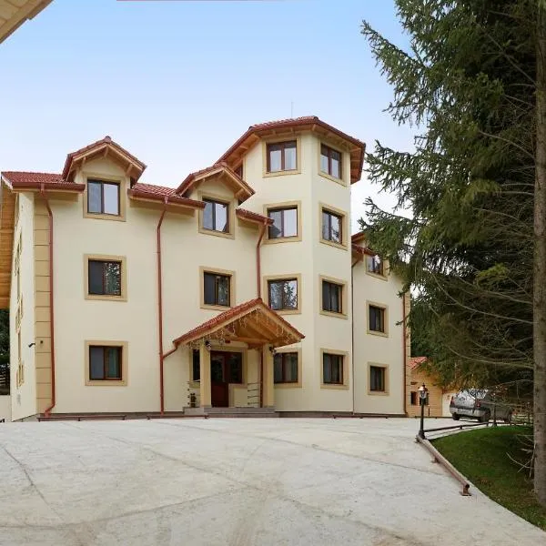 Pensiunea Floarea de Colt, hotel v destinaci Nucşoara