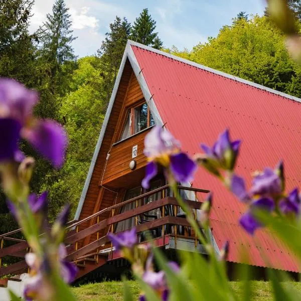 Perełka Bieszczady Domki, Hotel in Cisna