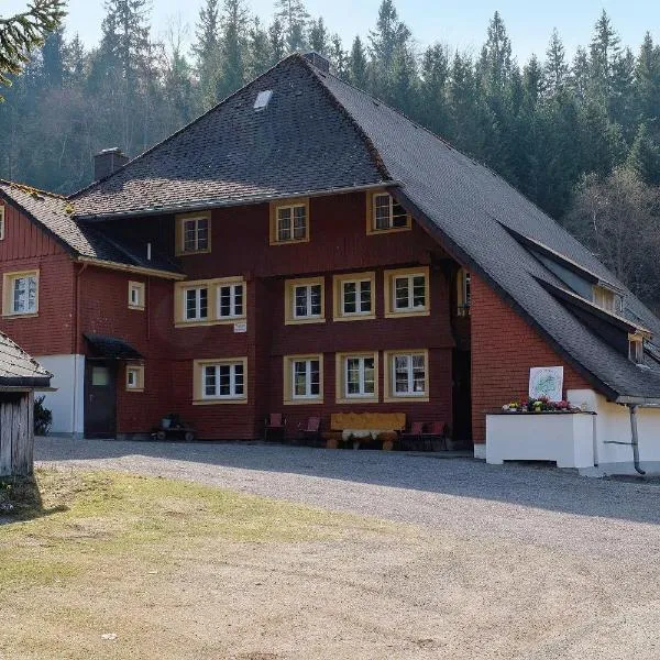 Alte Schmiede, hotell i Feldberg