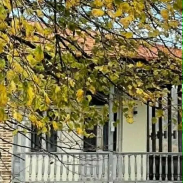 Nana's Guest House, hotel u gradu Signagi