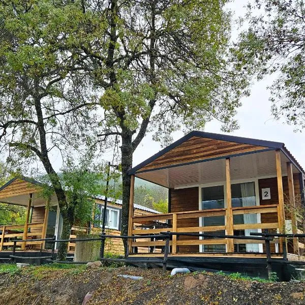 Bungalows Pirineo Jacetania 3000: Castiello de Jaca'da bir otel