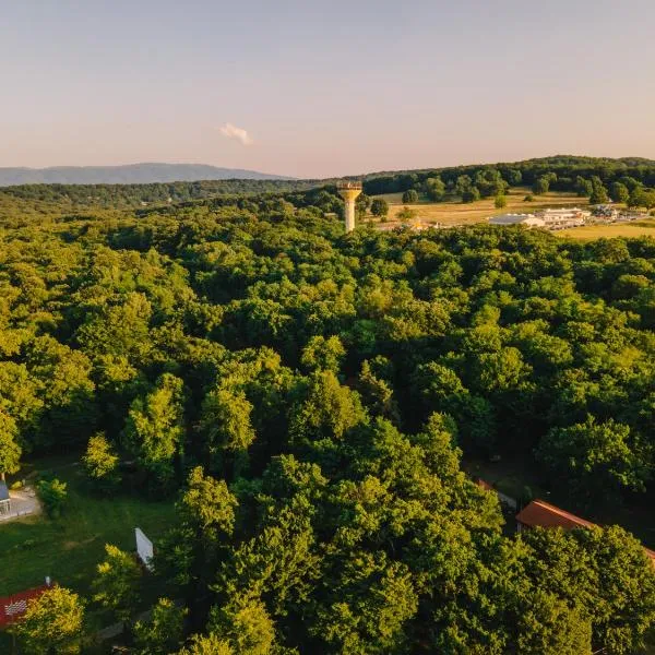 Arsenal Park Transilvania, hotelli kohteessa Orăştie