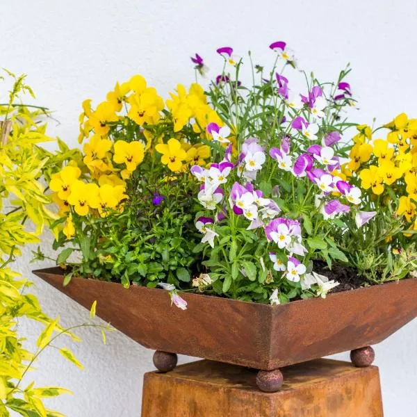 Pension Tannenhof, hotel em Leogang