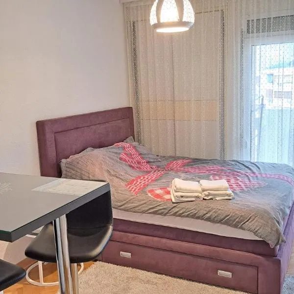 Nina Apartment - CENTRAL STATION, hotell i Podgorica