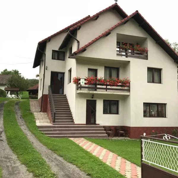 Pensiunea DORINA, хотел в Моечу де Жос