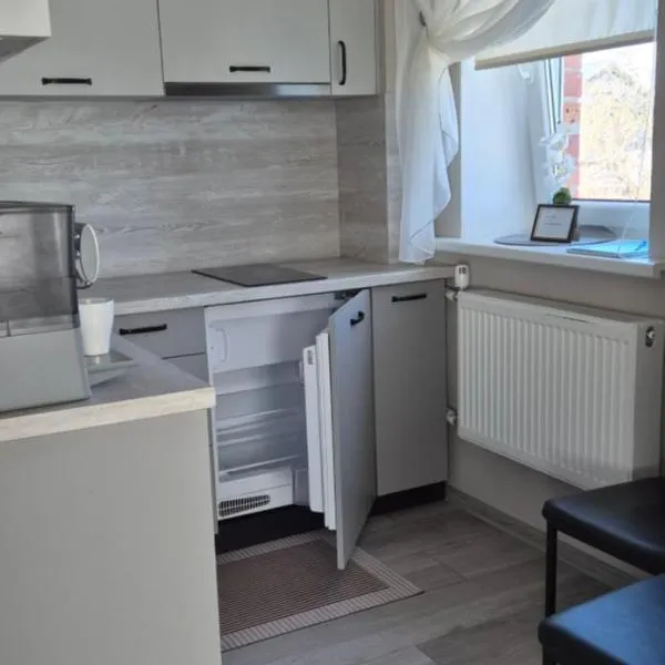 Jaudas Apartment, hotel v destinaci Madona