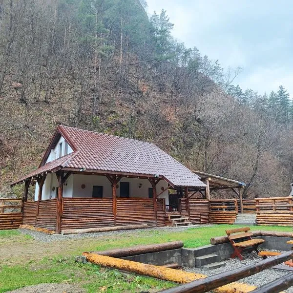 River Haus, hotel en Călineşti