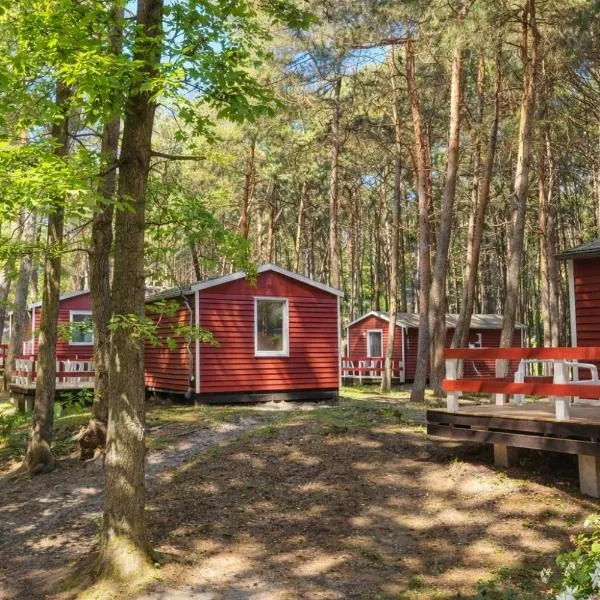 Erholung pur in der Strandhussiedlung Rügen - Bungalow Ferienwohnung - bis 5 Personen - nur 100m zum Naturstrand - mitten im Kiefernwald - Ideal für Paare & Familien - Hunde herzlich willkommen, hotel a Dranske
