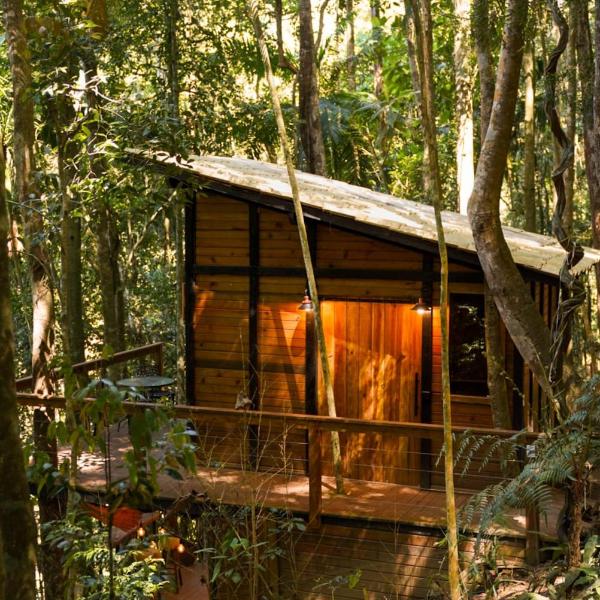 Tree House