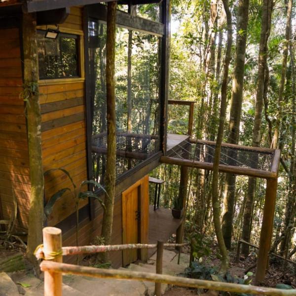 Tree House - Foto 5
