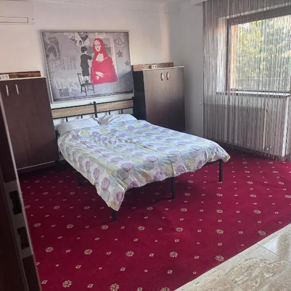 Vila cu trandafiri - Cozy Apartments Studio cu pat matrimonial, hotel in Bragadiru