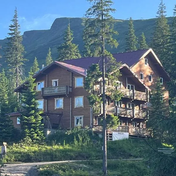 Alpin Eco Chalet & Wellness: Drahobrat şehrinde bir otel