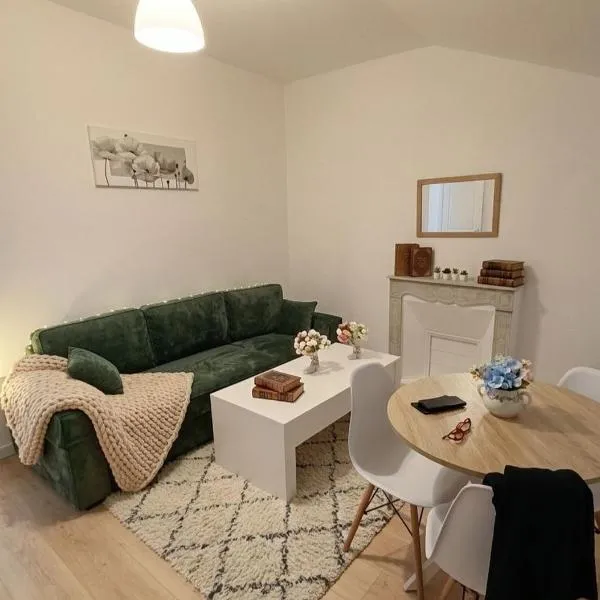 Room with a private bathroom in the city center, hotel u Nici