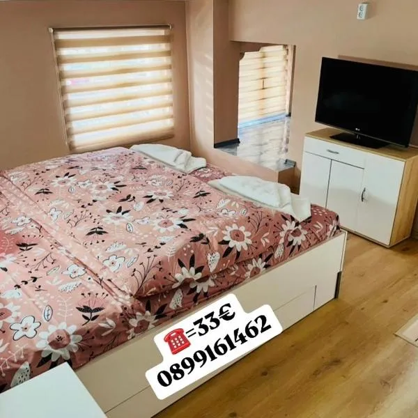 Апартамент за гости Николови – hotel w mieście Widyń