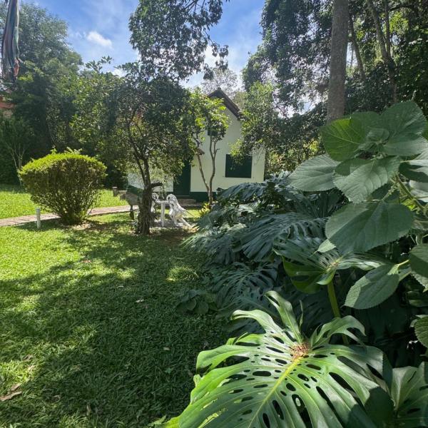 Canto da Saíra Azul - Foto 5