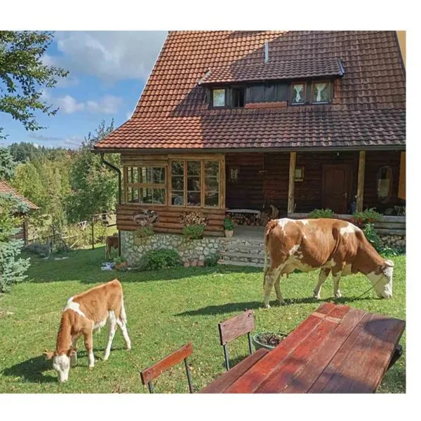 Mountain house, hotel in Mala Reka