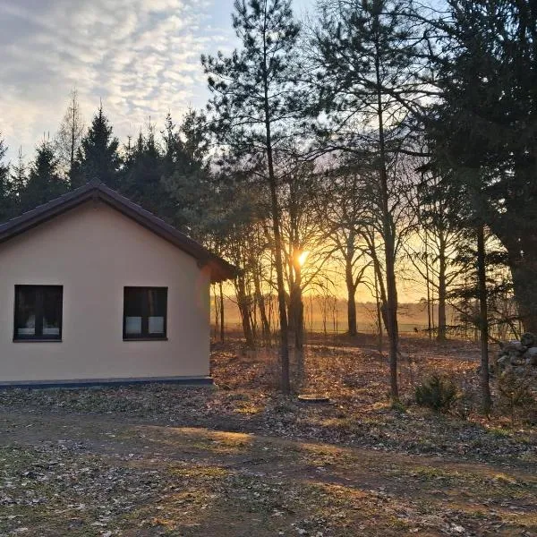 Domek przy Lesie, hotel en Łąkie