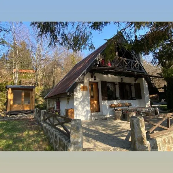 Vila Krnjević Jastrebac, hotel Buci városában