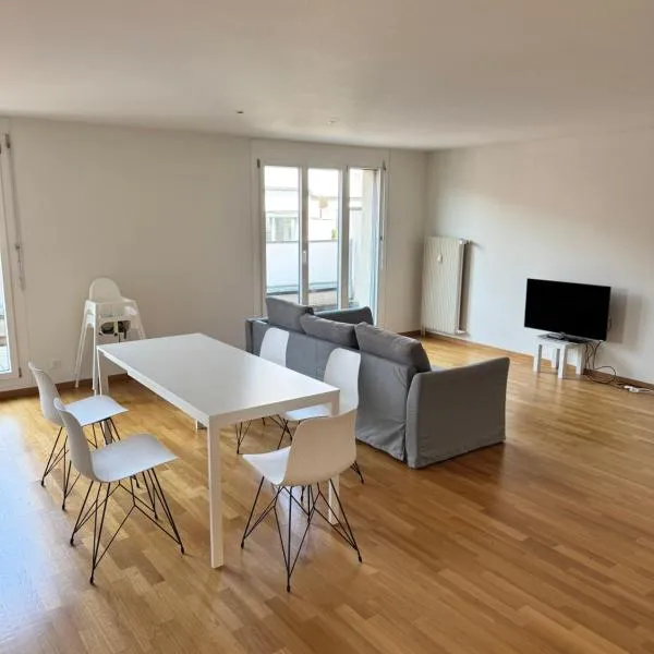 Penthouse Loft 120sqm with Rooftop Terrace 40sqm, Open Kitchen, 2 BR, City Center، فندق في بازل