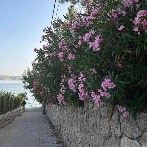 Nadalina 10, hotel u gradu Starigrad-Paklenica