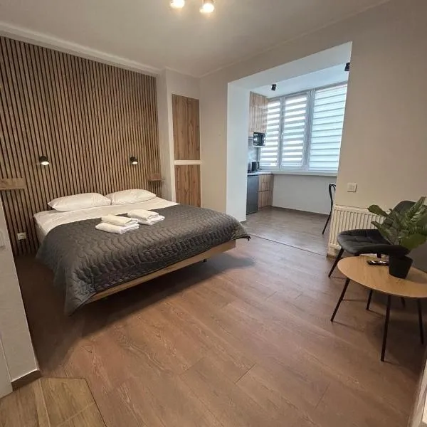 Нова квартира студія Центр ЖД автовокзал Дрімтаун, Hotel in Luzk