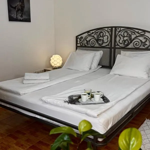 Гранд Хостел, hotel in Chernivtsi