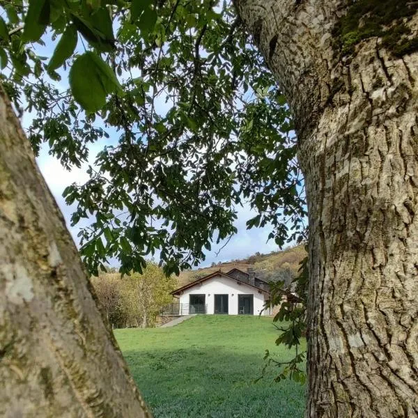 El Refugio del Oso Apartamentos rurales 1, hotel v mestu Jalón