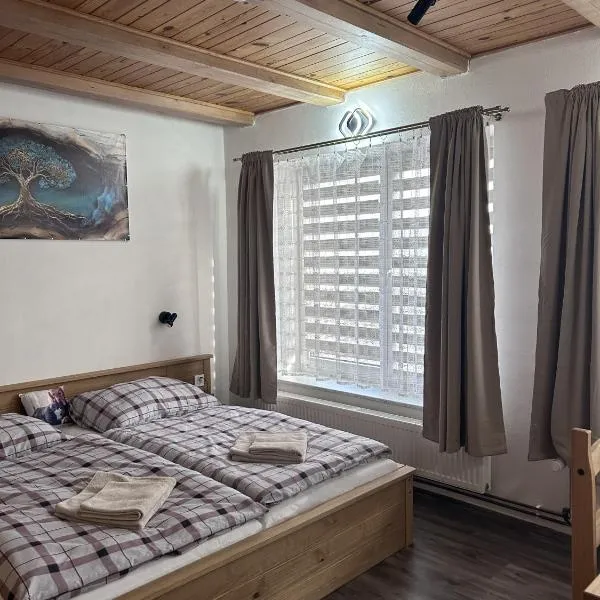 Párty penzion Dolany, hotel din Čkyně