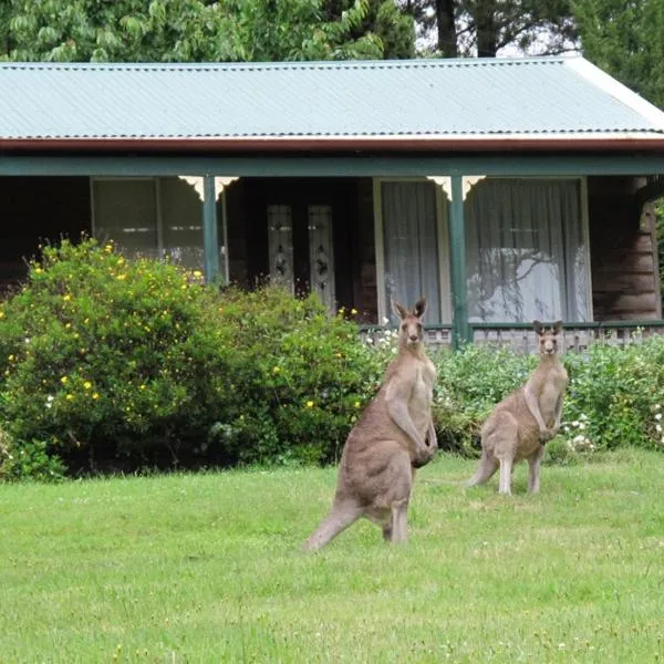 Cedar Lodge Cabins، فندق في جبل فيكتوريا